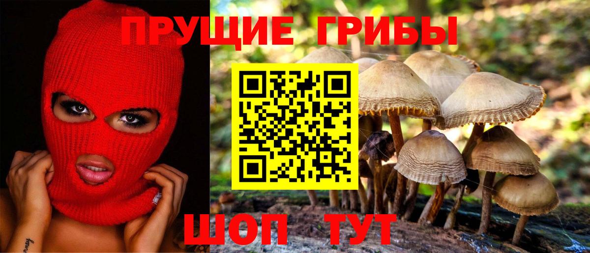 магазин    Вход с VPN  Калининград  Псилоцибиновые грибы GOLDEN TEACHER 